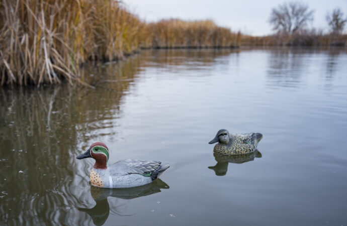 A male and female teal duck decoys
