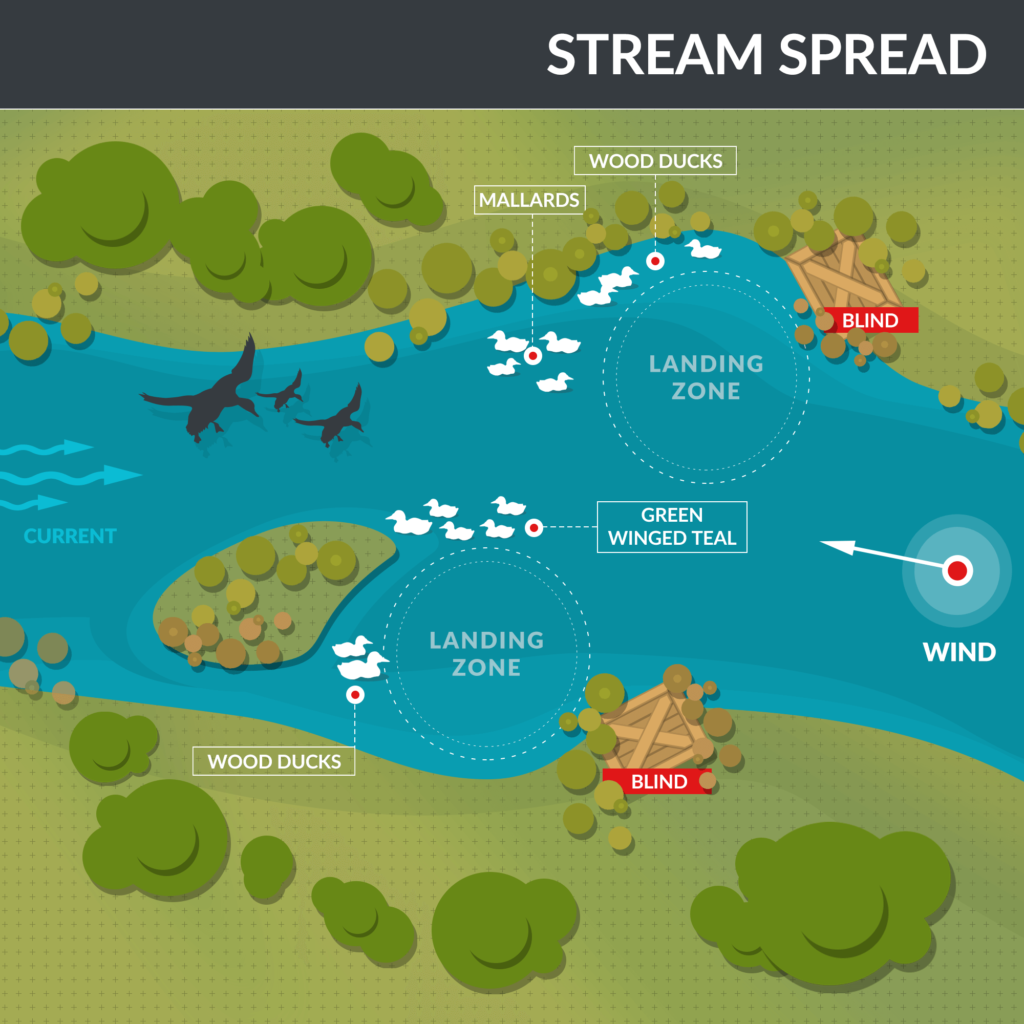 duck decoy placement near a river for hunting