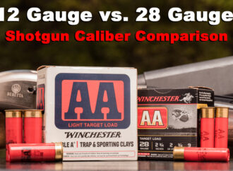12 Gauge vs 28 Gauge