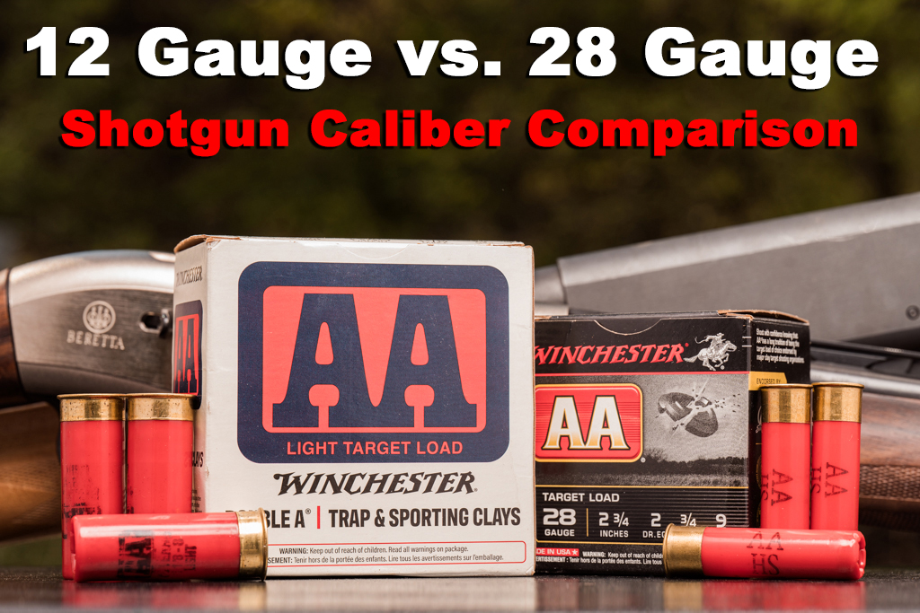 28 gauge and 12 gauge shotshells side by side on a shooting bench with shotguns behind them.