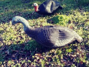 turkey hunting decoys