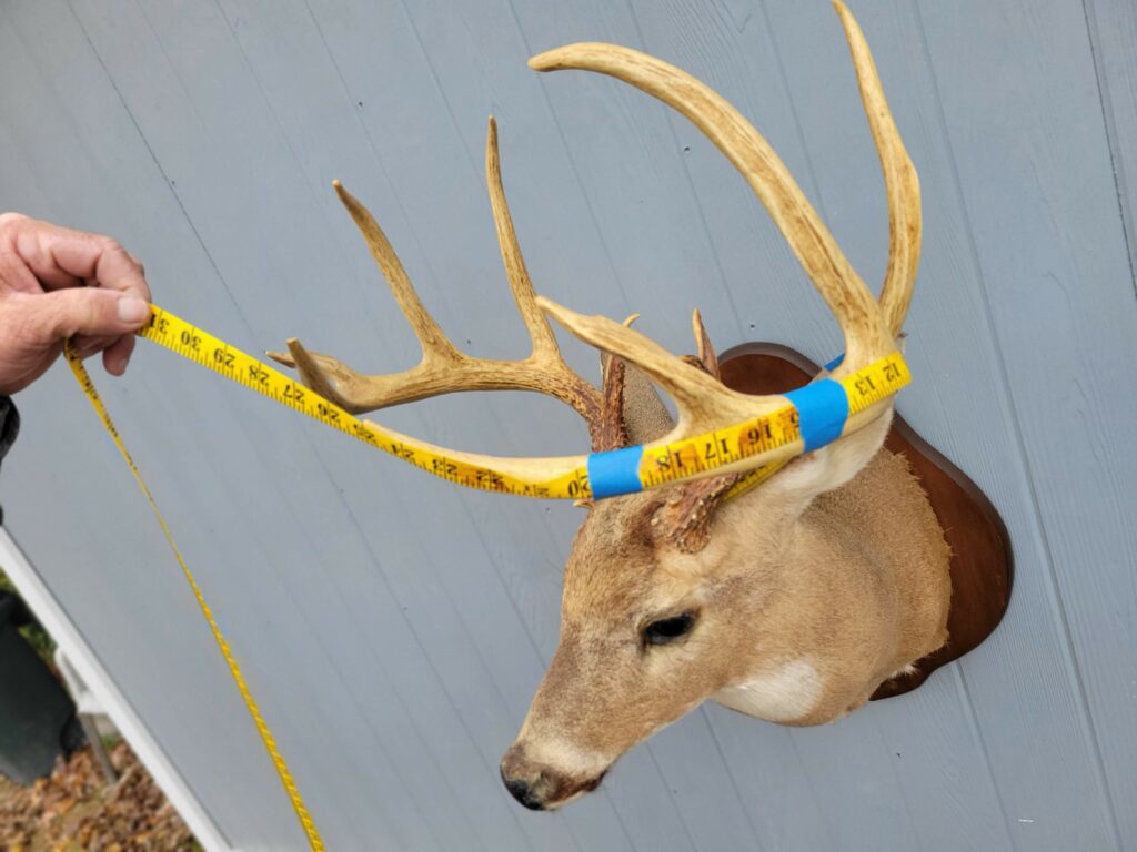 Size Matters How to Score a Buck