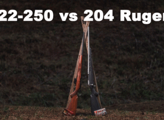 22-250 vs 204 Ruger