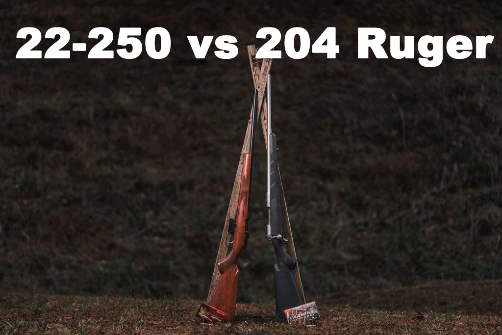 22-250 and 204 Ruger rifles leaning up against one another at a shooting range.