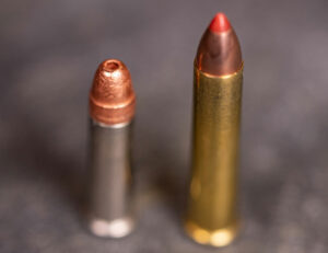 22 WMR ammo with 22 long rifle ammo