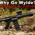 what is 223 wylde?