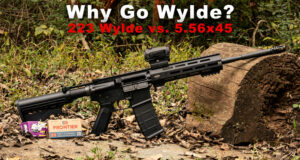 what is 223 wylde?