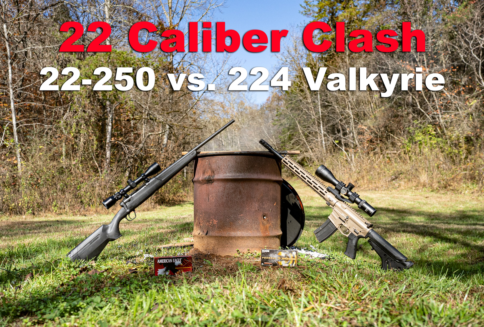 224 valkyrie vs 22-250