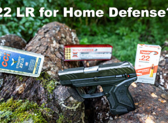 22LR for Home Defense – Big Enough Cartridge For Your Trust?