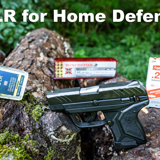 Lever Action Rifles for Home Defense A Good Choice?