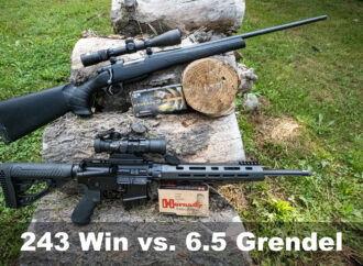 243 vs 6.5 Grendel