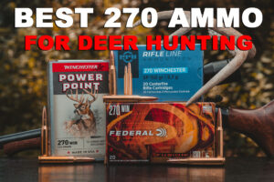 270 ammo...</p>
</div>
<hr><div class=