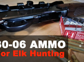 Best 30-06 Ammo for Elk Hunting