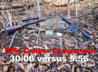 30-06 vs 5.56