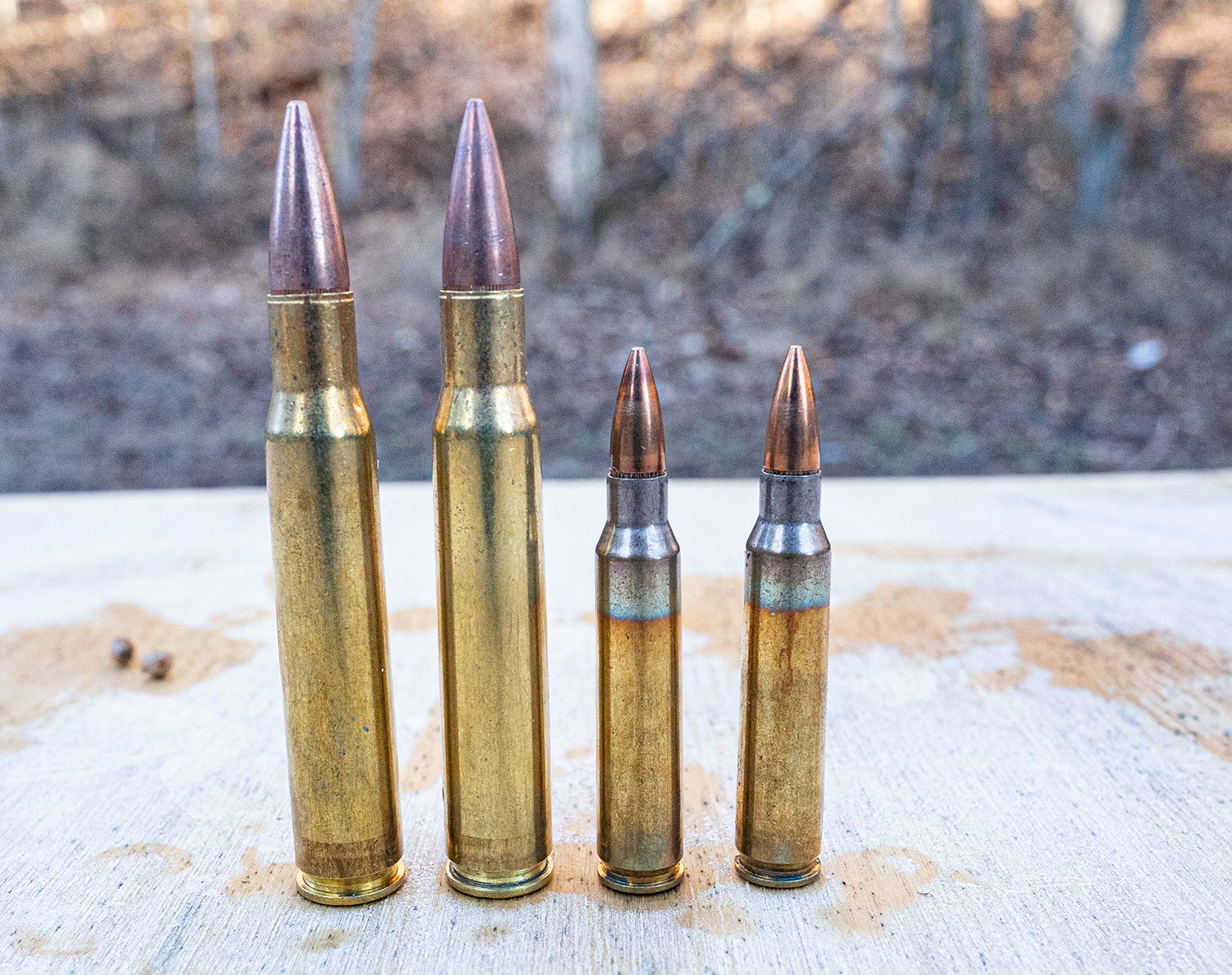 30-06-vs-5.56-ammo-side-by-side.jpg