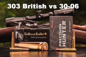 303 British v...</p>
</div>
<hr><div class=