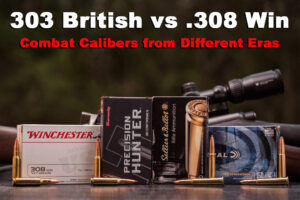 303 British...</p>
</div>
<hr><div class=
