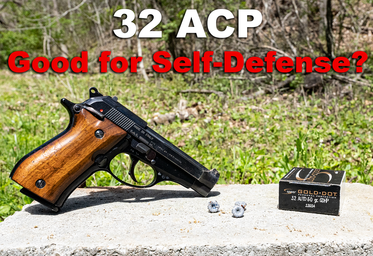 32 ACP for self defense
