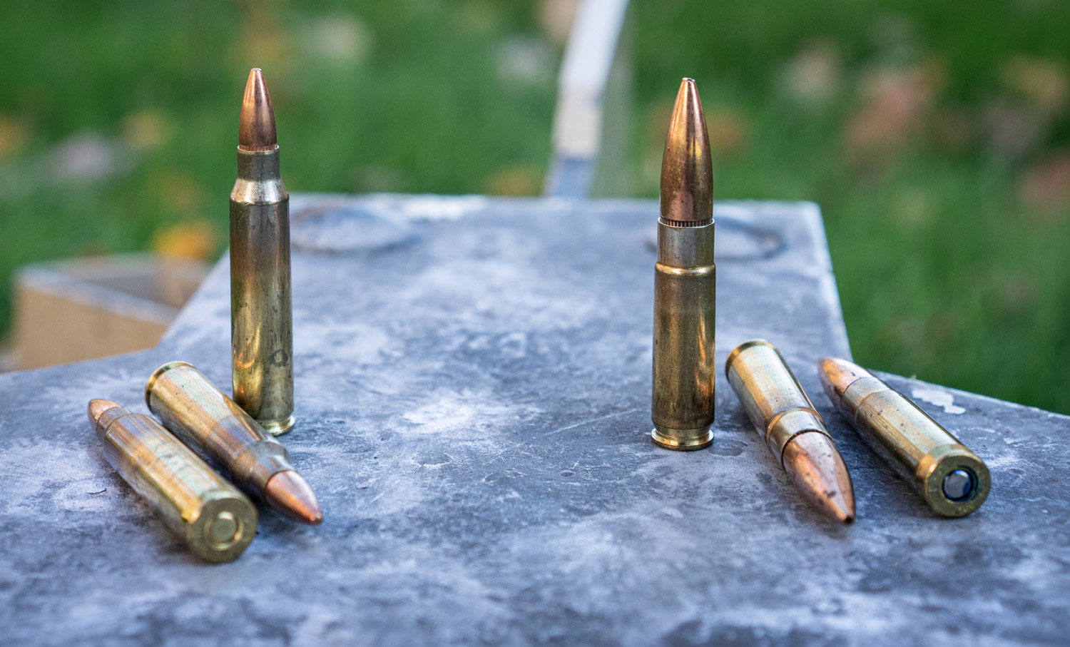 5.56 vs 300 blackout ammo 5.56 vs 300 blackout ammo side by side