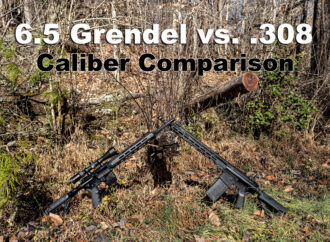 6.5 Grendel vs 308