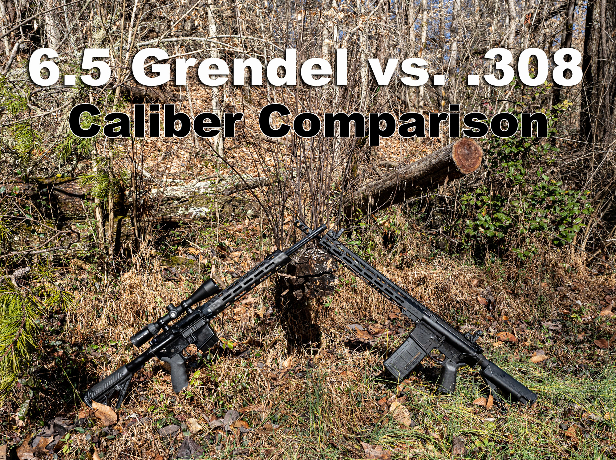 6.5 Grendel vs 308