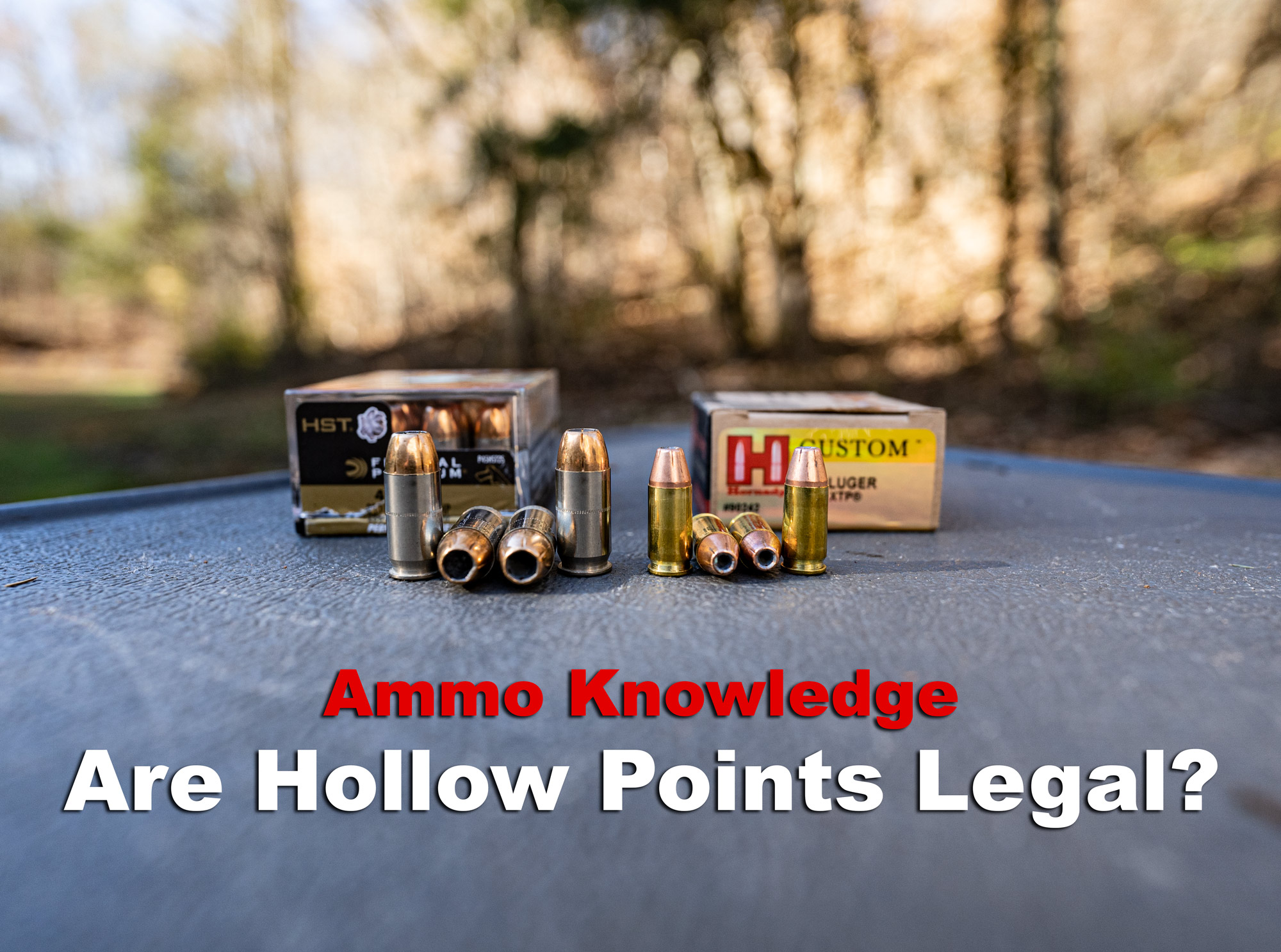 hollow point bullets displayed on a shooting bench