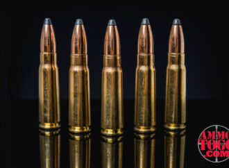 What Are Soft Point Bullets?