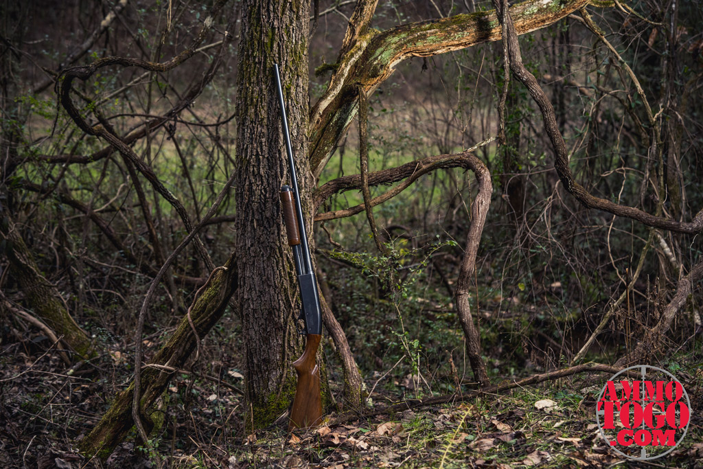 a photo of a 16 gauge shotgun against a tree outdoors