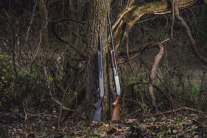 photo of a 12 gauge and a 16 gauge shotgun outdoors