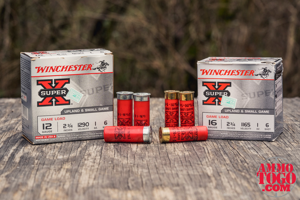 12 Gauge vs. 16 Gauge shotgun ammo A photo of winchester 12 gauge shotgun ammo next to winchester 16 gauge shotgun ammo