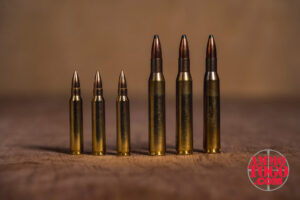 223 vs. 270 caliber comparison