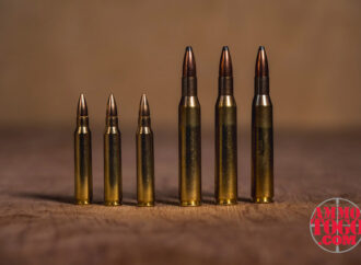 .223 vs. .270 Winchester