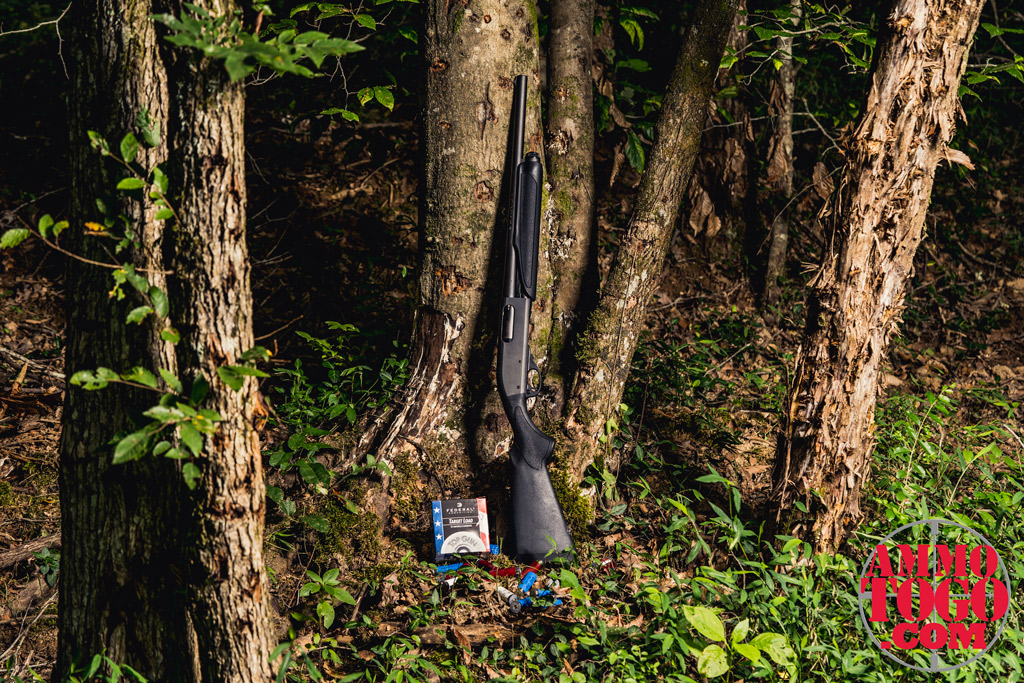 photo of a remington 870 shotgun with ammo leaning against a tree