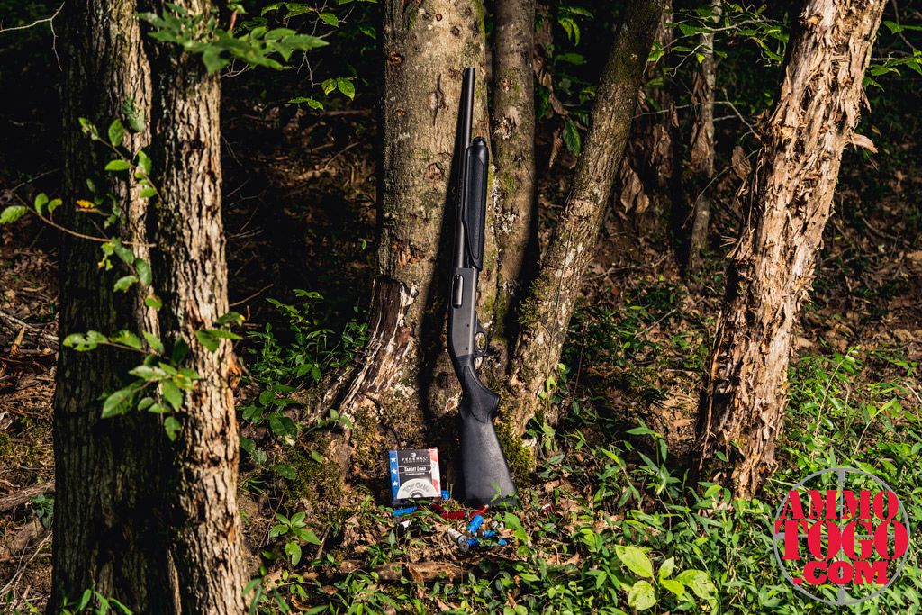 12 gauge shotgun leaning against a tree photo of a remington 870 shotgun with ammo leaning against a tree