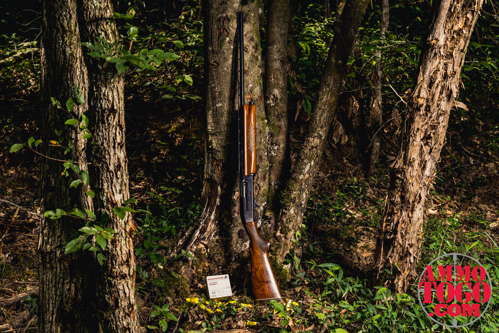 photo of a 20 gauge shotgun leaning against a tree
