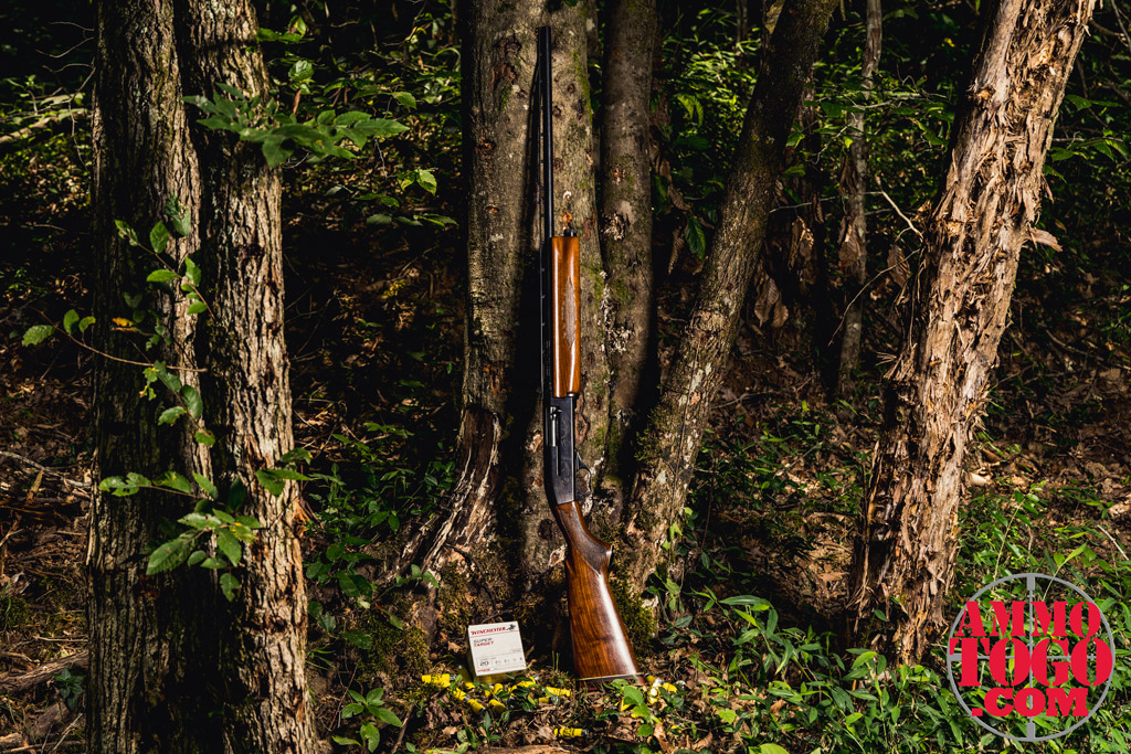 A 20 gauge leaning against a tree photo of a 20 gauge shotgun leaning against a tree