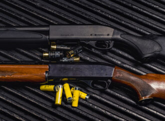 12 Gauge vs. 20 Gauge