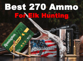 Best 270 Ammo for Elk
