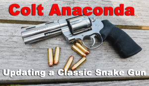 Colt Anaconda...</p>
</div>
<hr><div class=