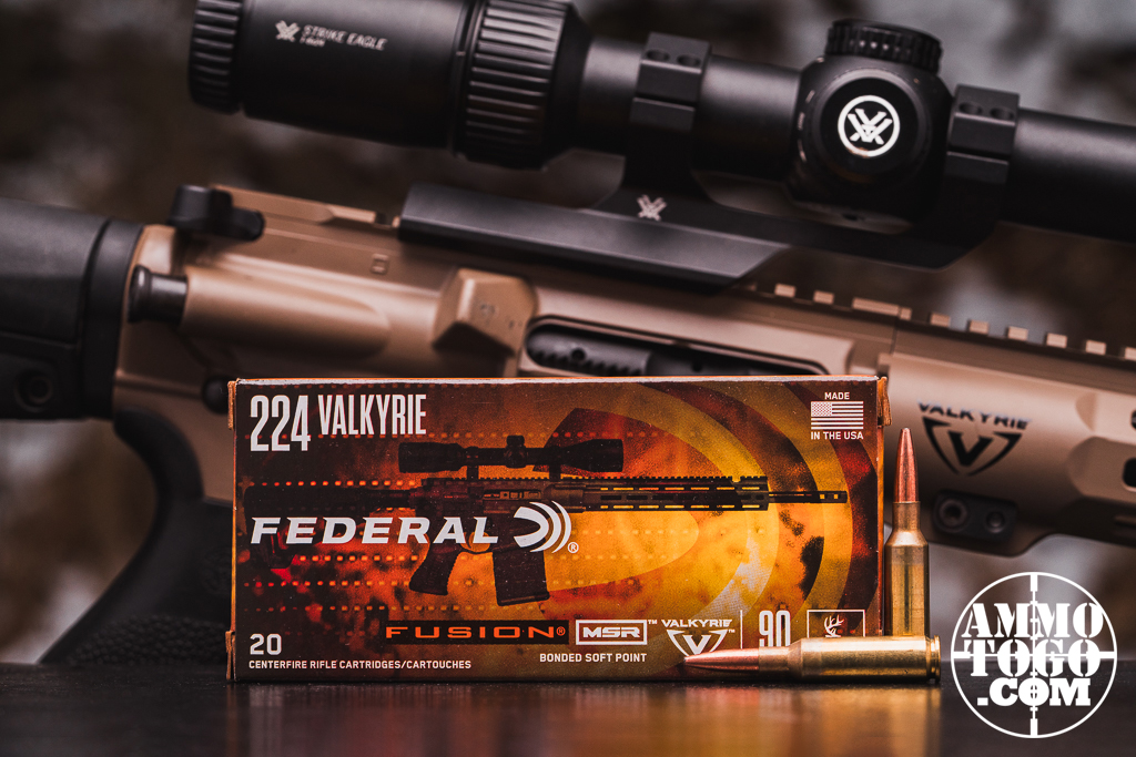 224 Valkyrie and rifle on display