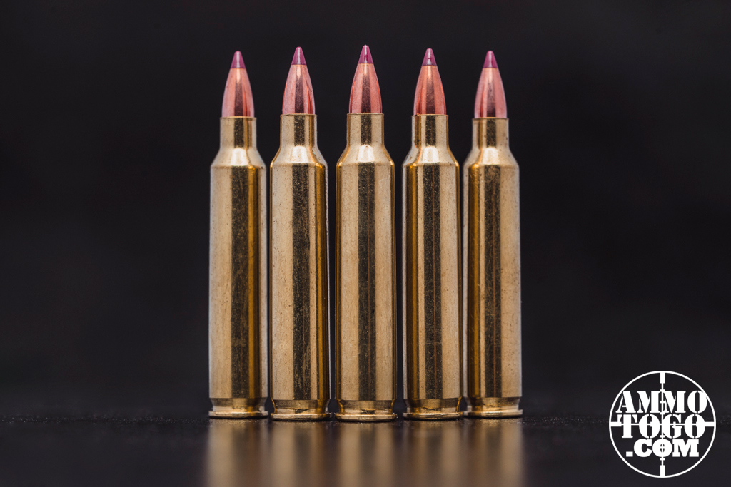 204 Ruger ammo displayed A line of five 204 Ruger ammo cartridges