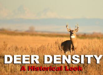 Historical Look: Deer Population Density in the U.S.