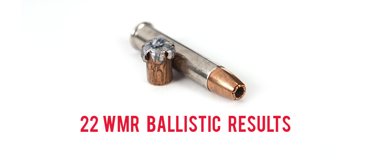 Using 22 WMR for self-defense