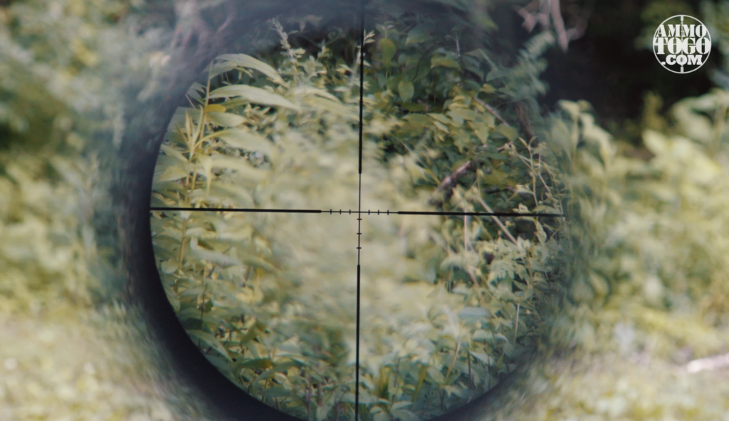 Clear Image of Rifle Scope Reticle