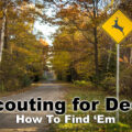 how to find deer in the woods