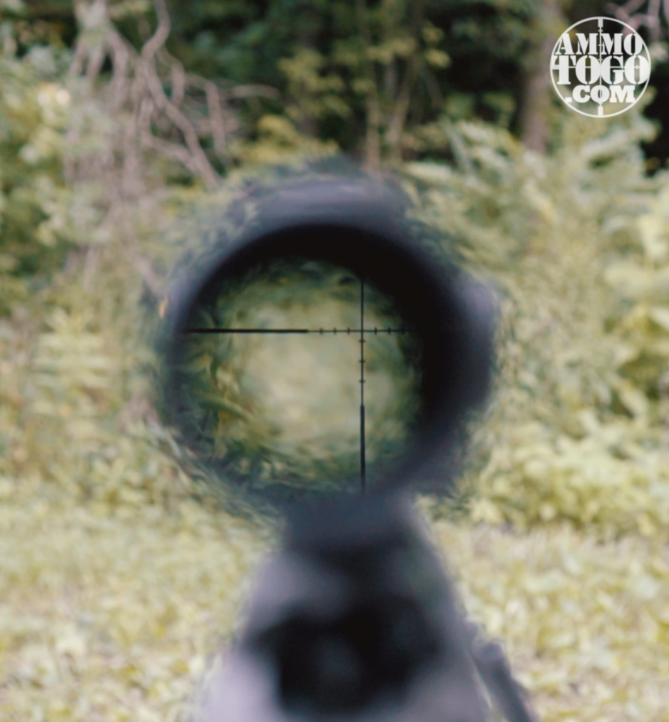 Halo in Rifle Scope