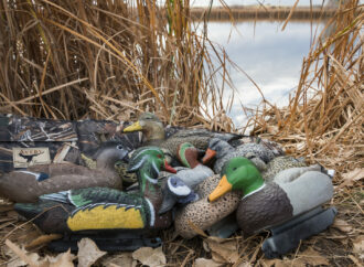 Duck Decoy Spreads – Where to Put Your Decoys