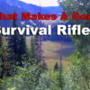 The Best Survival Rifle – What Makes A Good Choice?