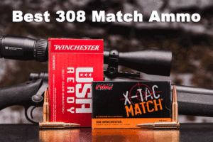 Top 308 match ...</p>
</div>
<hr><div class=