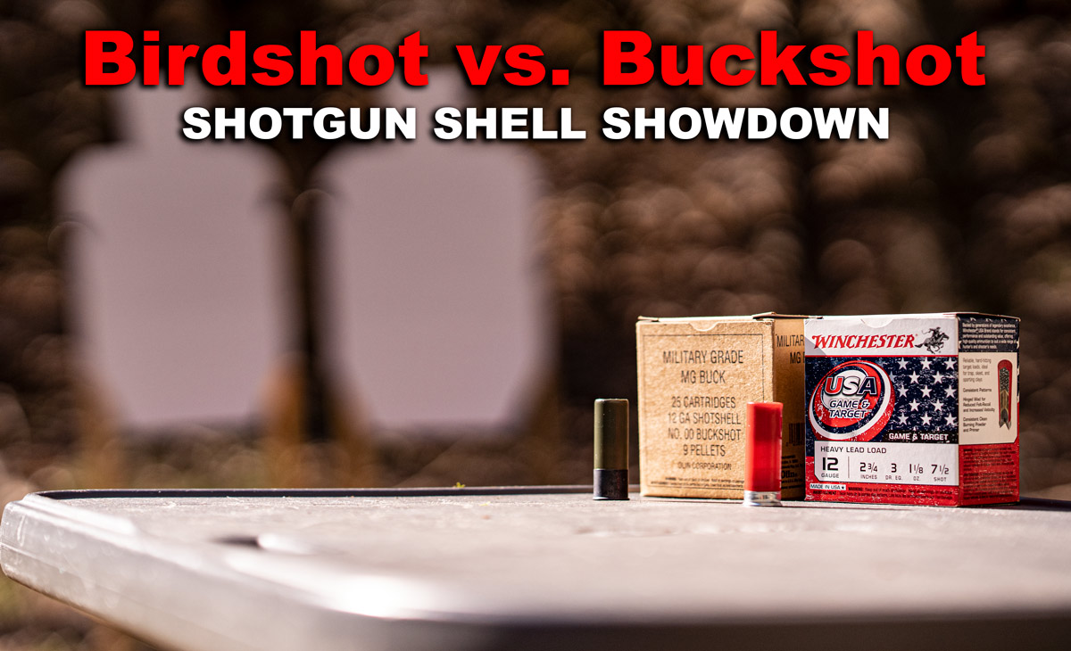 Birdshot vs buckshot at the shooting range